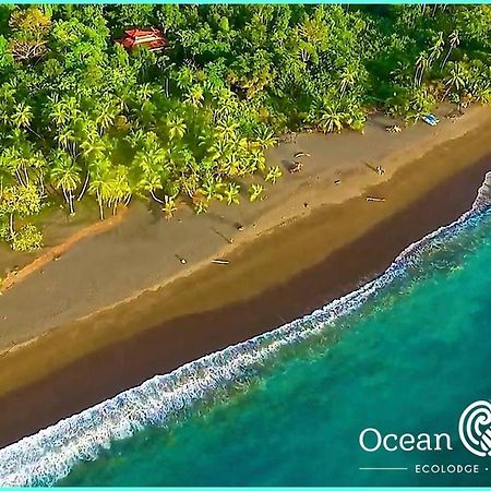 Ocean Forest Ecolodge San Pedrillo Luaran gambar