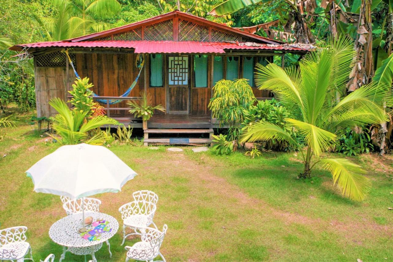 Ocean Forest Ecolodge San Pedrillo Luaran gambar