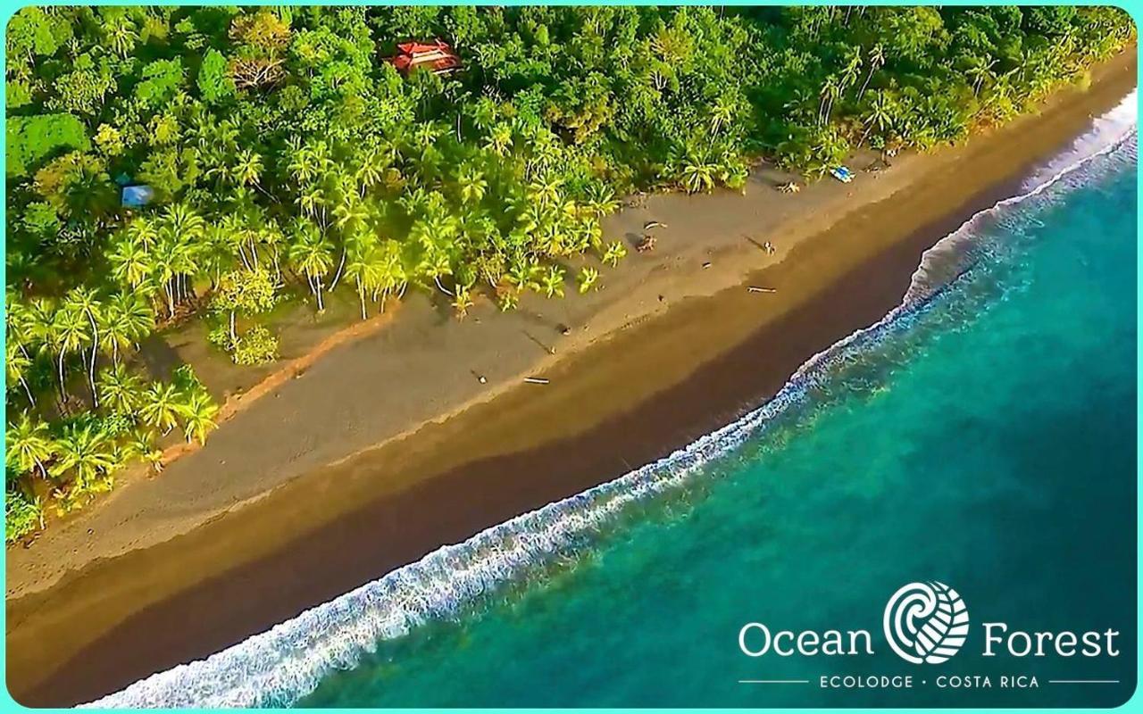 Ocean Forest Ecolodge San Pedrillo Luaran gambar
