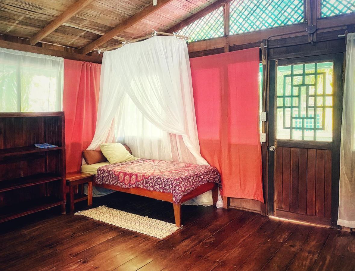 Ocean Forest Ecolodge San Pedrillo Luaran gambar