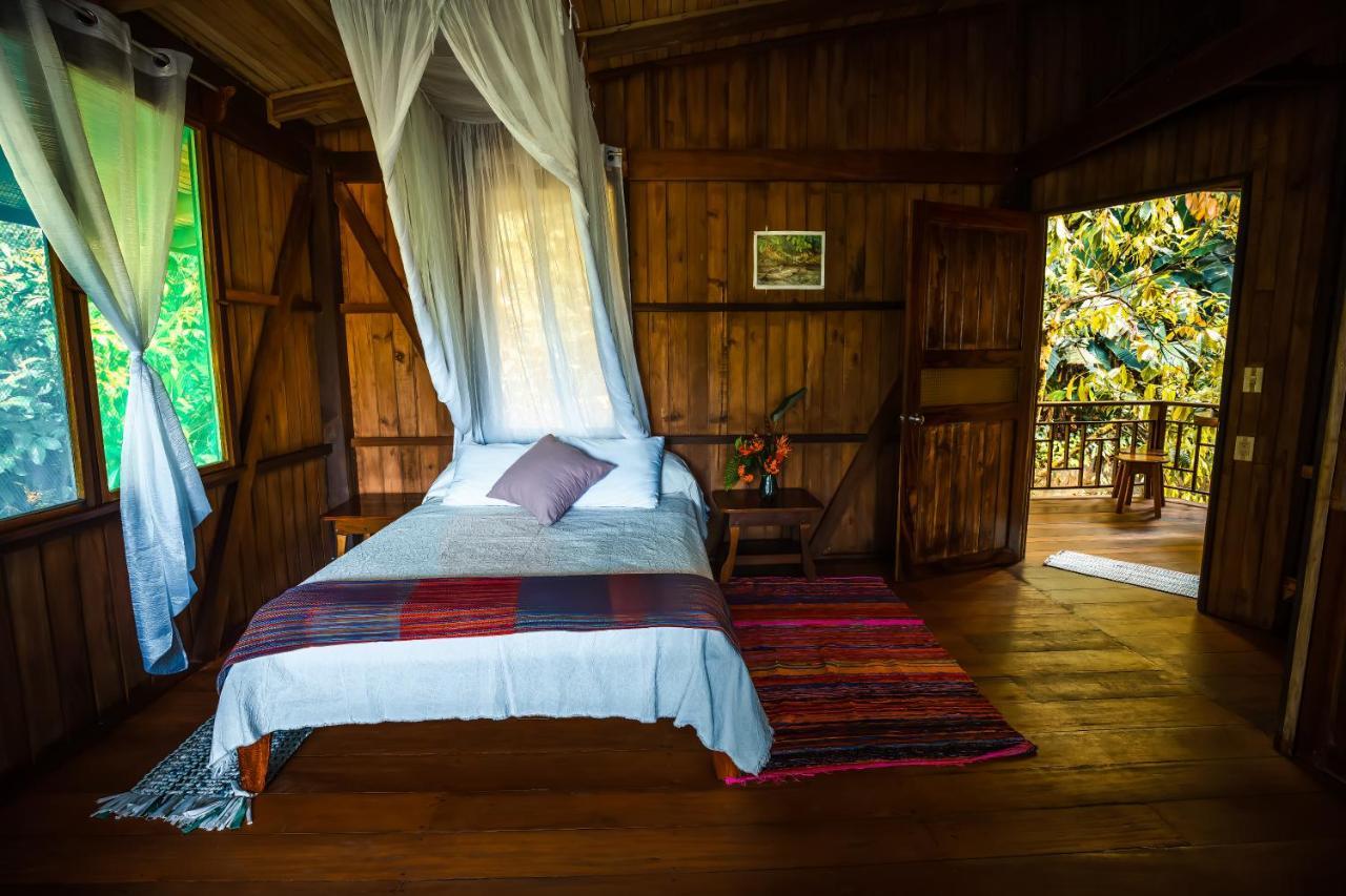 Ocean Forest Ecolodge San Pedrillo Luaran gambar