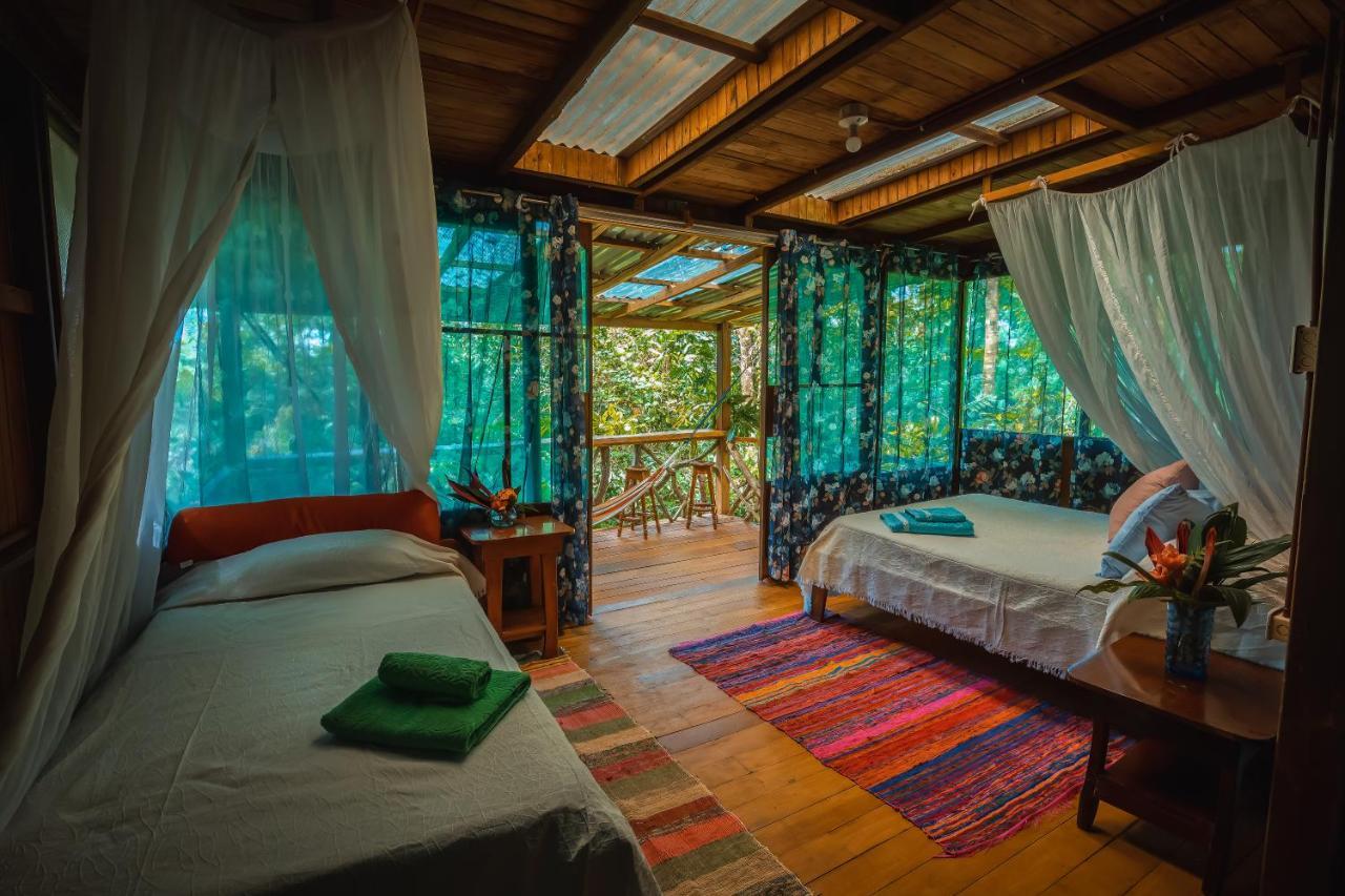 Ocean Forest Ecolodge San Pedrillo Luaran gambar