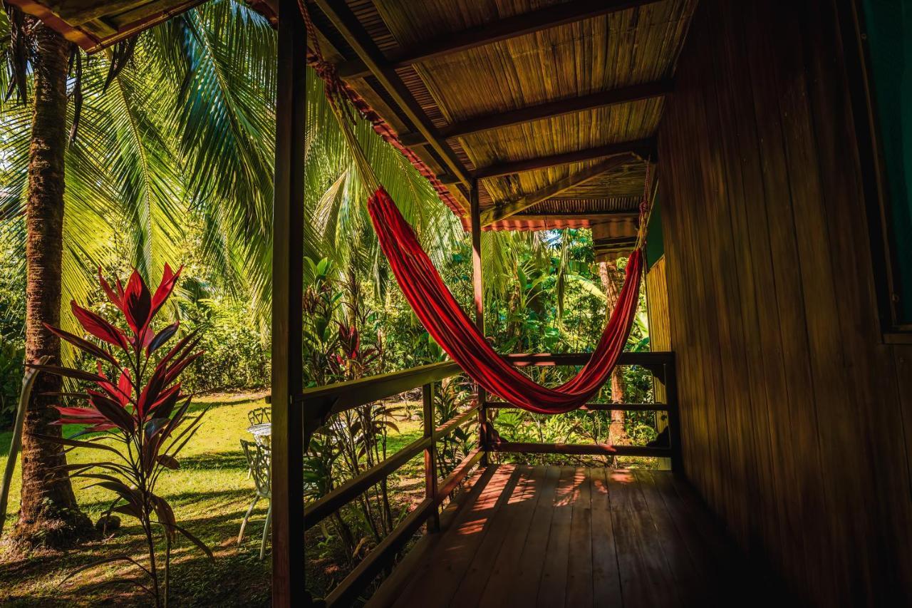 Ocean Forest Ecolodge San Pedrillo Luaran gambar