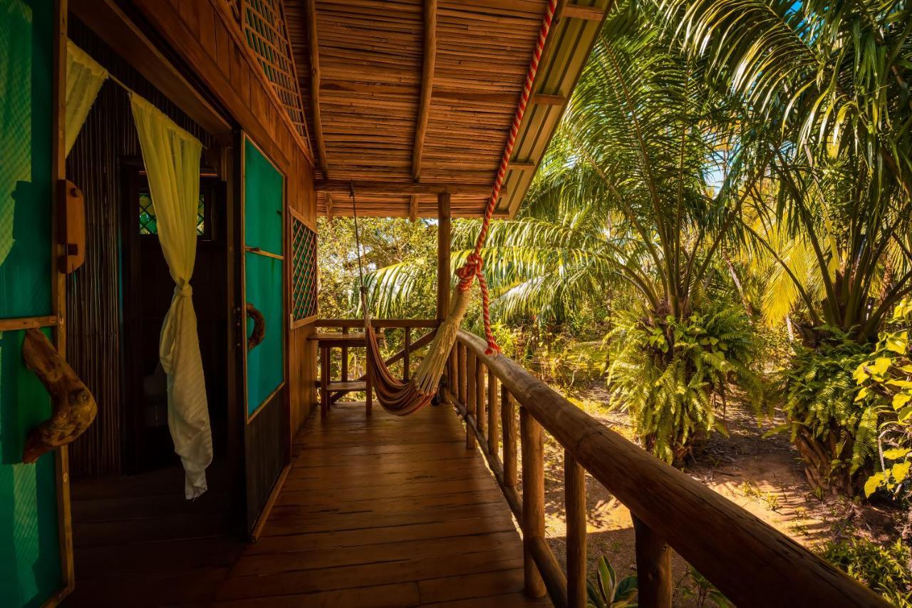 Ocean Forest Ecolodge San Pedrillo Luaran gambar