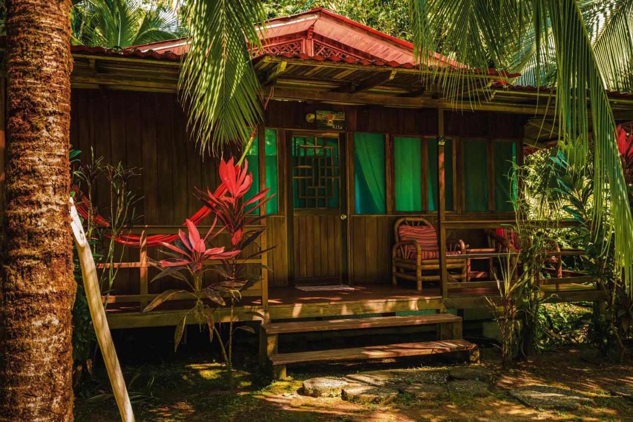 Ocean Forest Ecolodge San Pedrillo Luaran gambar