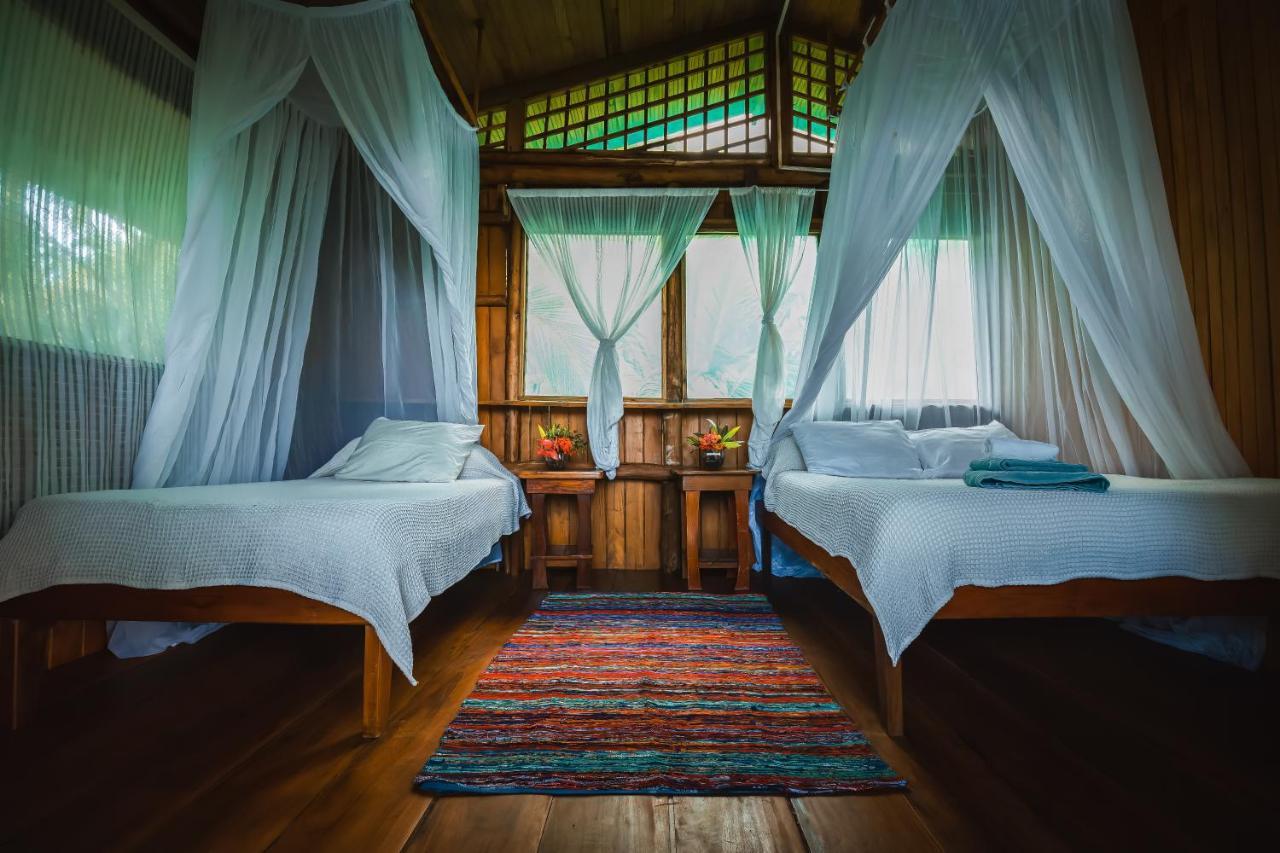 Ocean Forest Ecolodge San Pedrillo Luaran gambar
