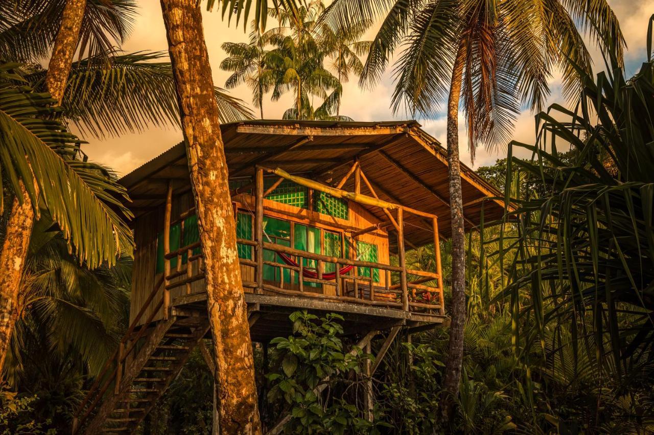 Ocean Forest Ecolodge San Pedrillo Luaran gambar