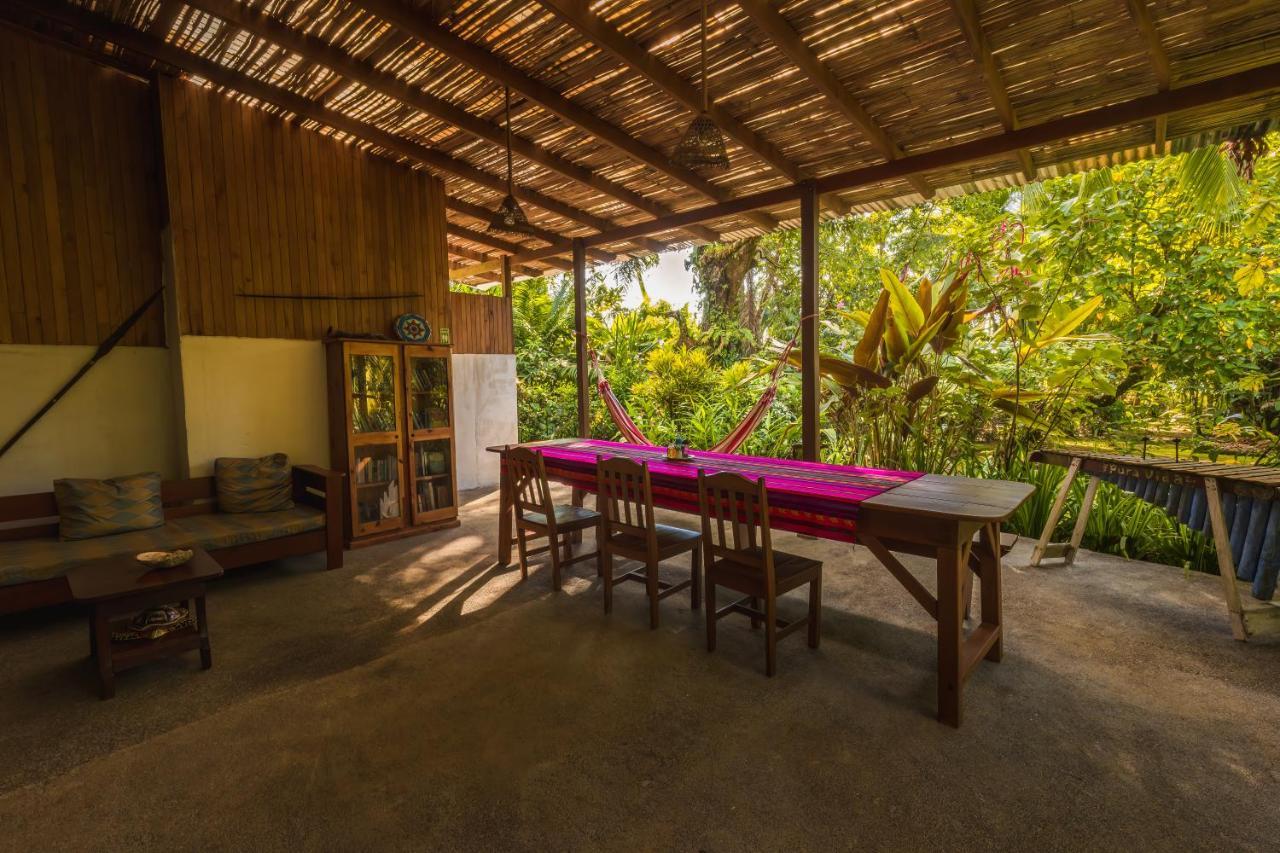 Ocean Forest Ecolodge San Pedrillo Luaran gambar
