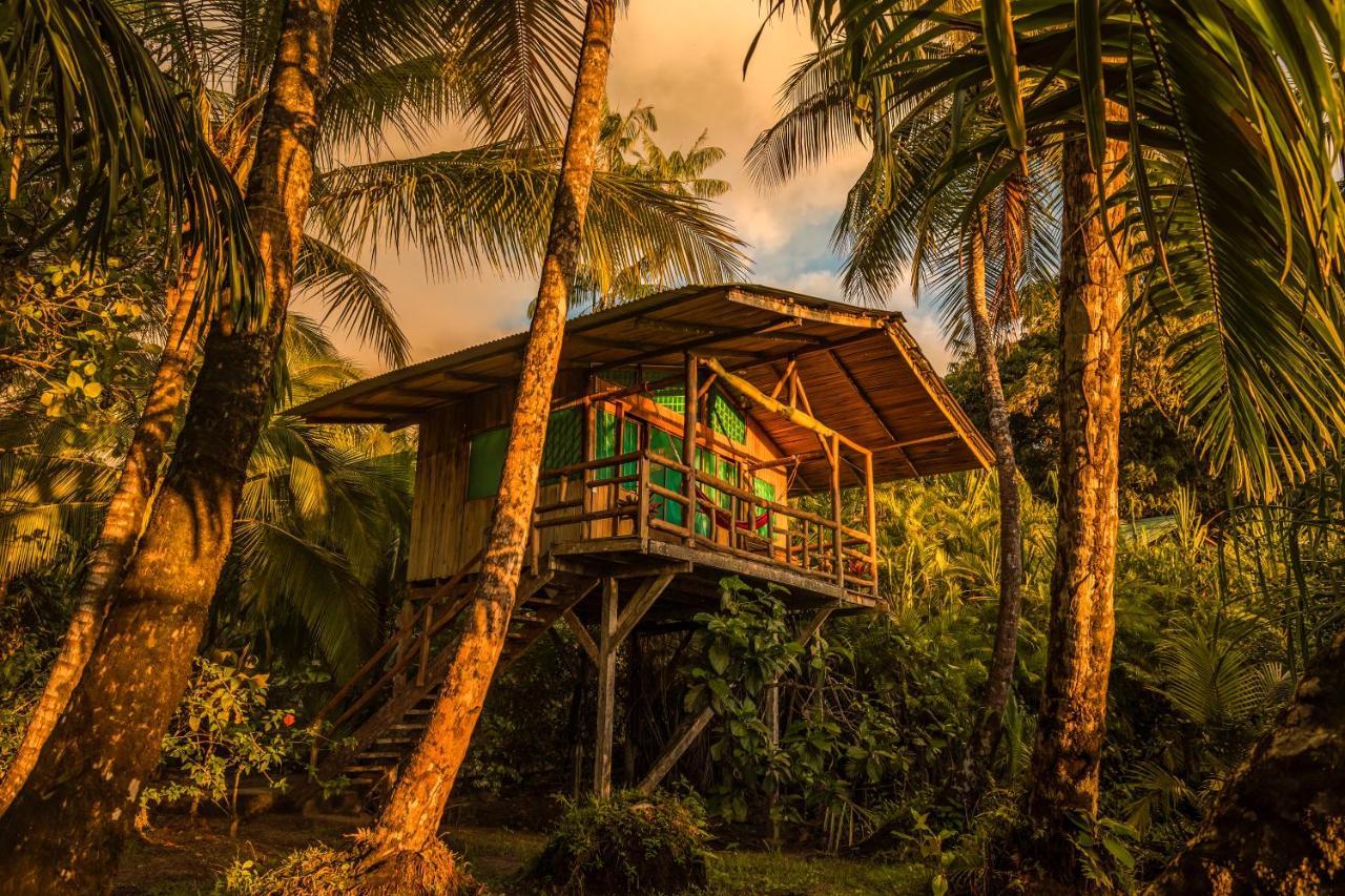 Ocean Forest Ecolodge San Pedrillo Luaran gambar