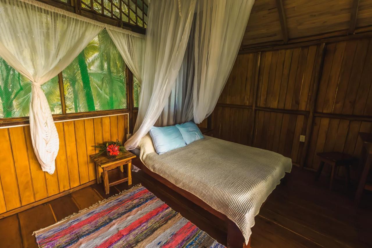 Ocean Forest Ecolodge San Pedrillo Luaran gambar