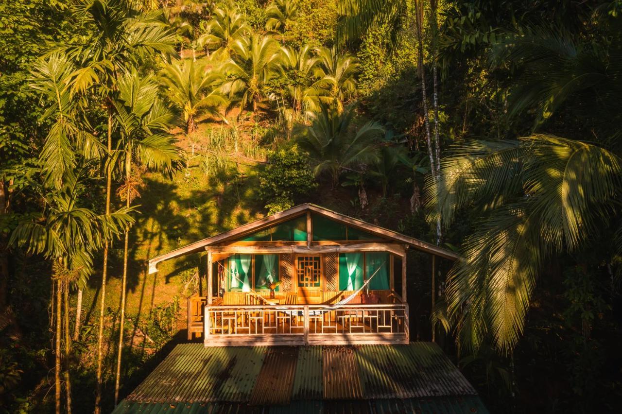 Ocean Forest Ecolodge San Pedrillo Luaran gambar