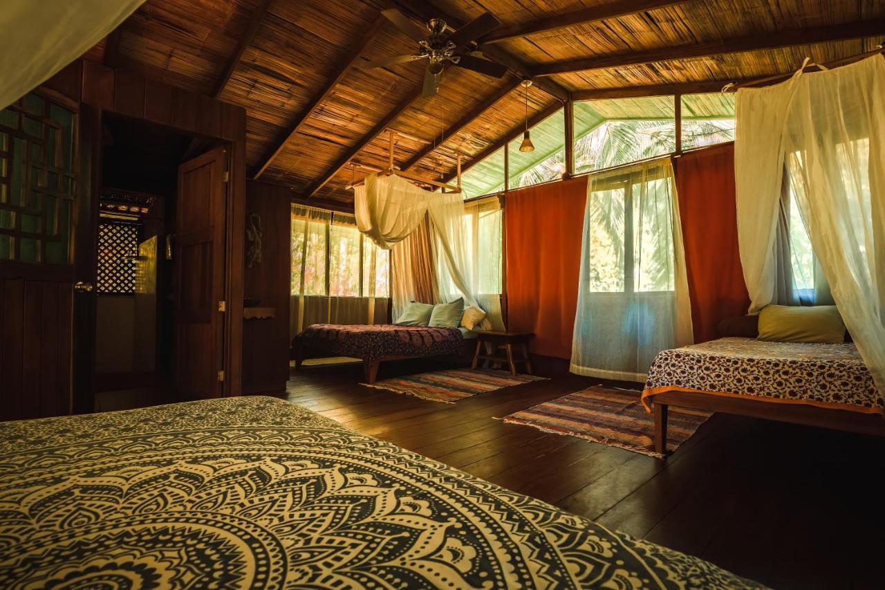 Ocean Forest Ecolodge San Pedrillo Luaran gambar