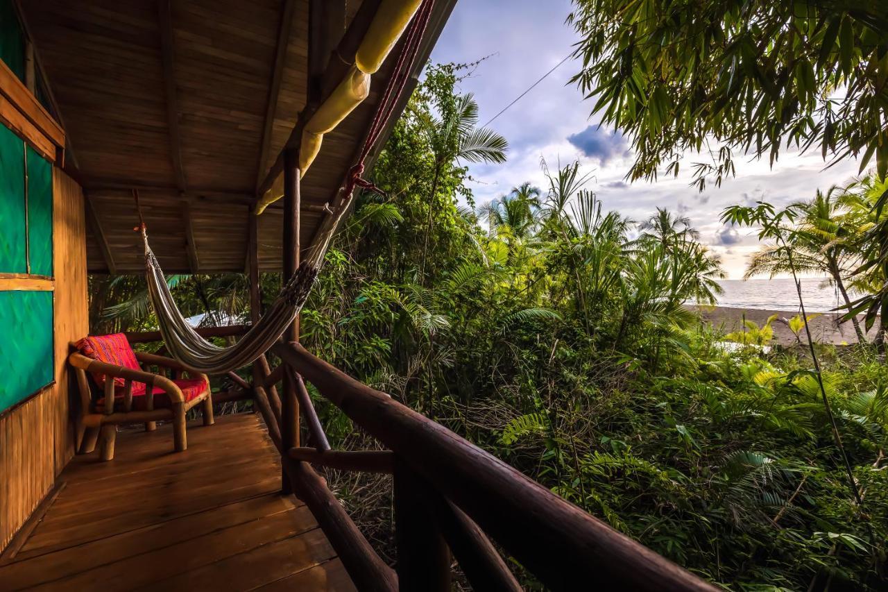 Ocean Forest Ecolodge San Pedrillo Luaran gambar