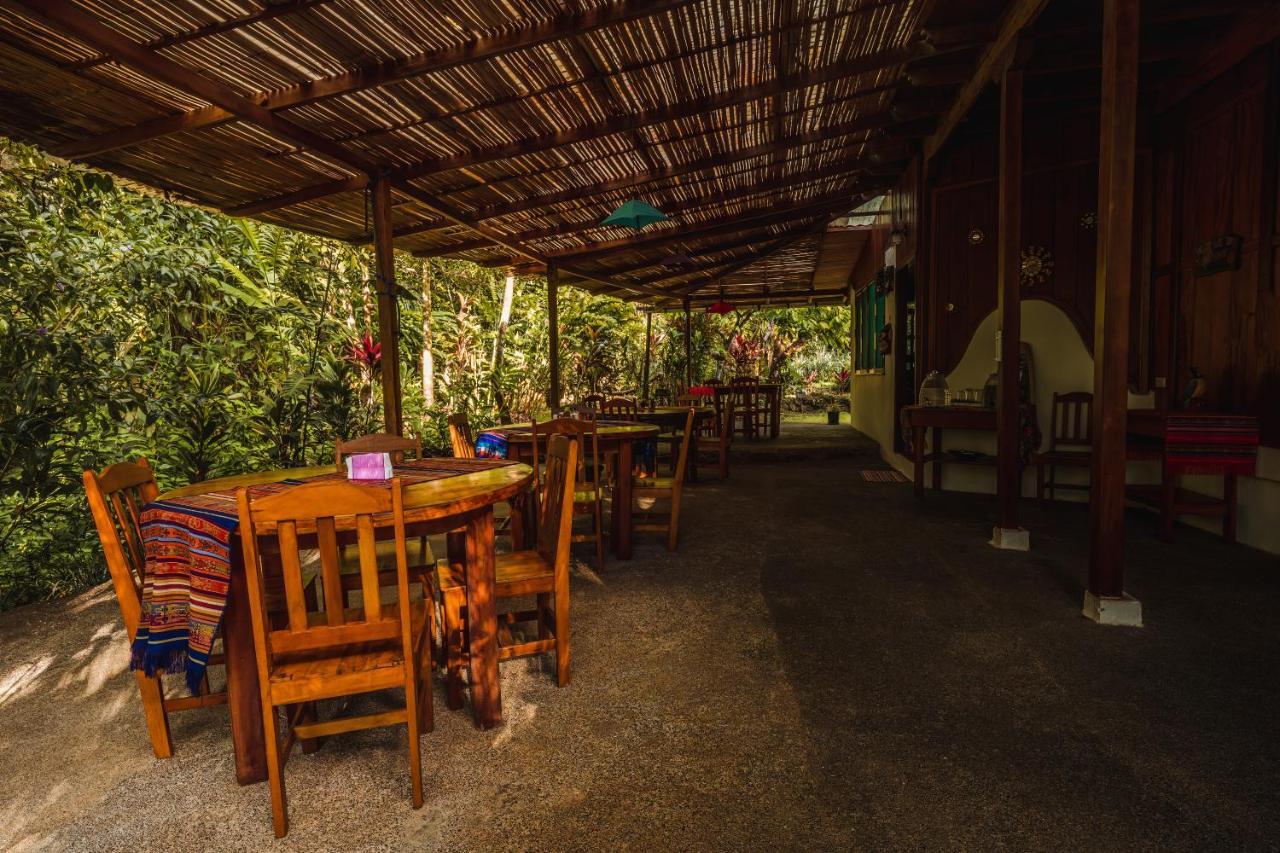 Ocean Forest Ecolodge San Pedrillo Luaran gambar