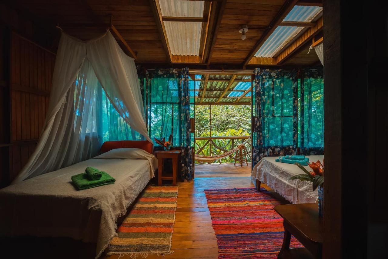 Ocean Forest Ecolodge San Pedrillo Luaran gambar