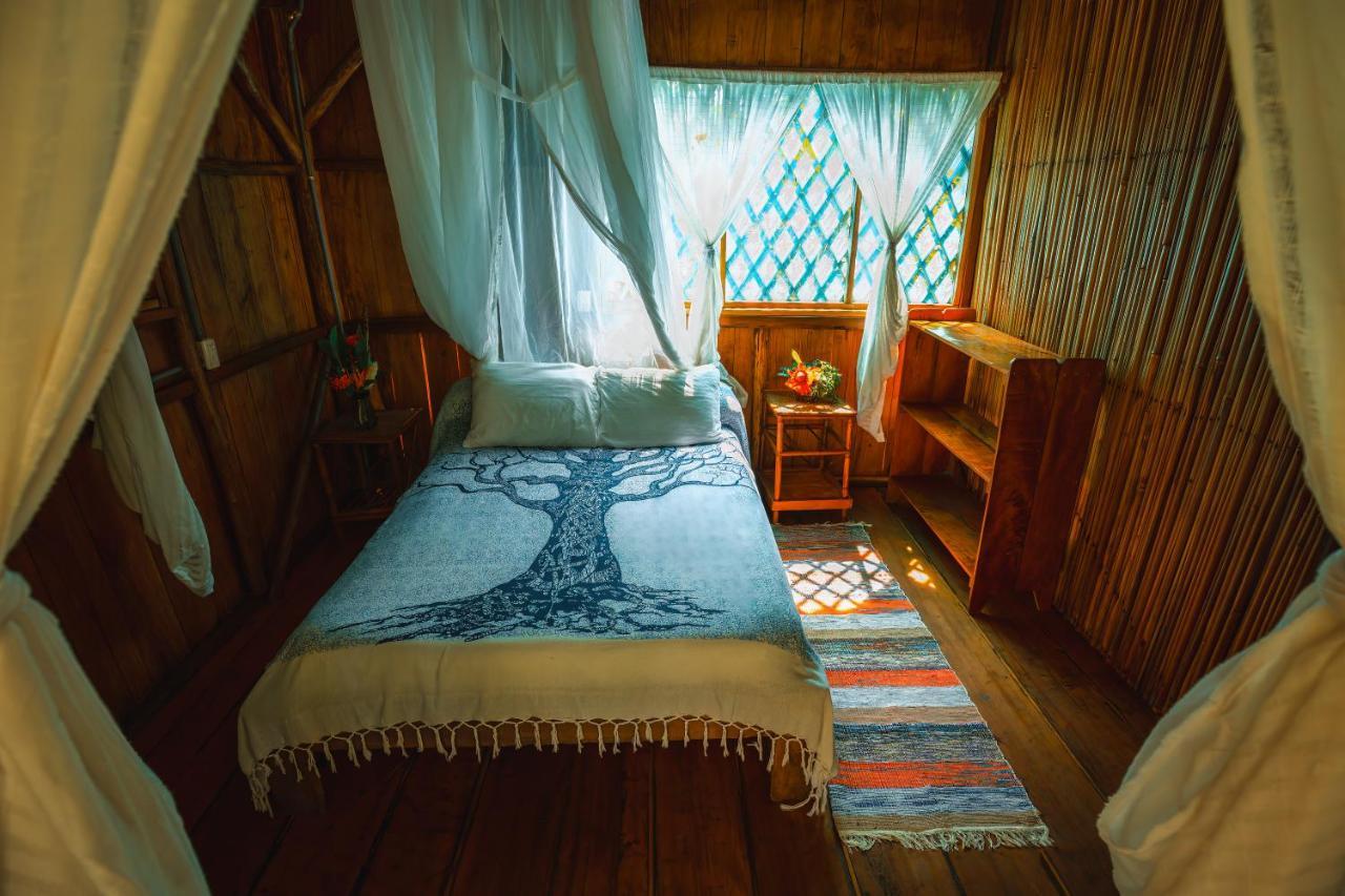 Ocean Forest Ecolodge San Pedrillo Luaran gambar