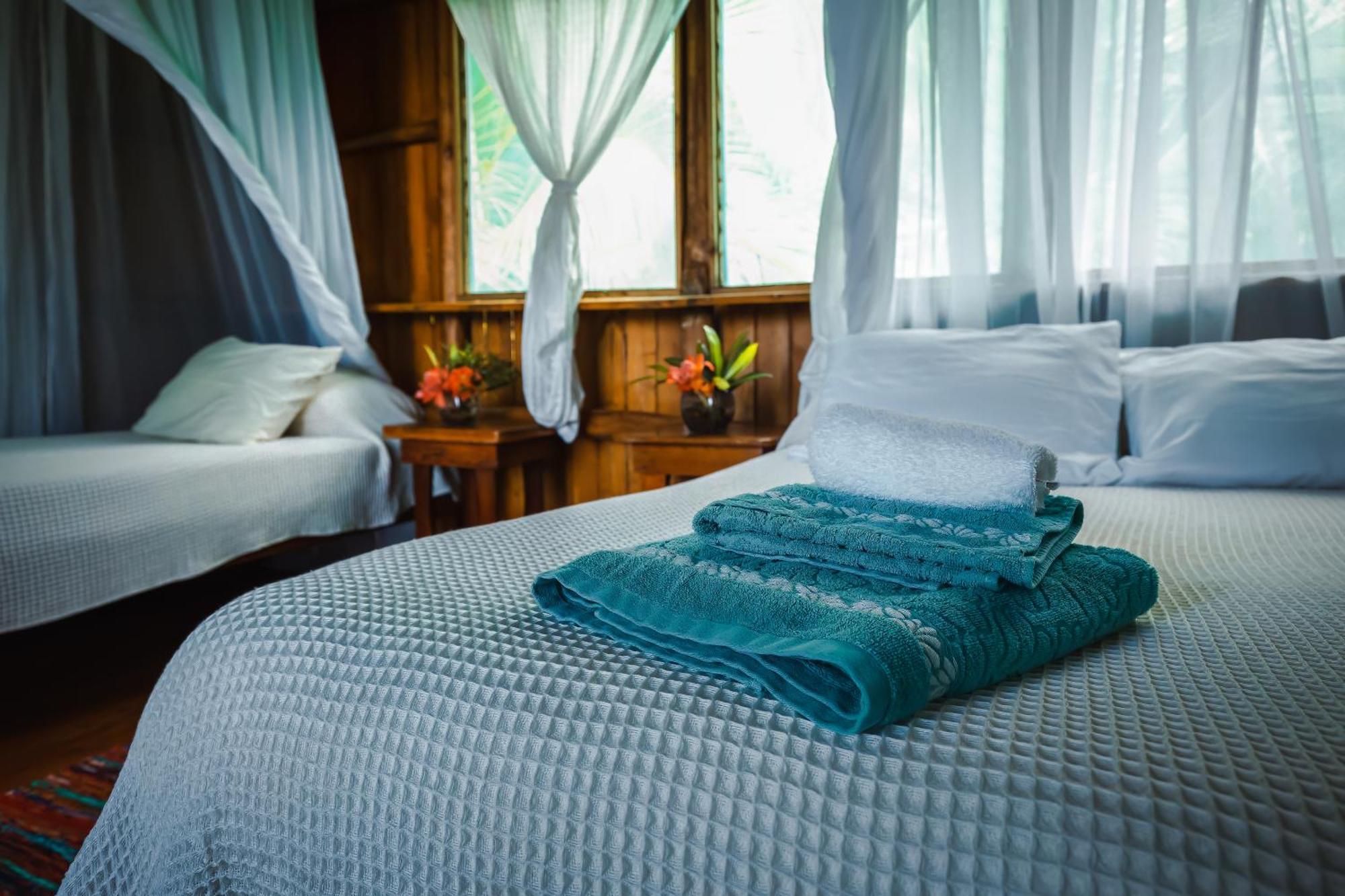 Ocean Forest Ecolodge San Pedrillo Luaran gambar