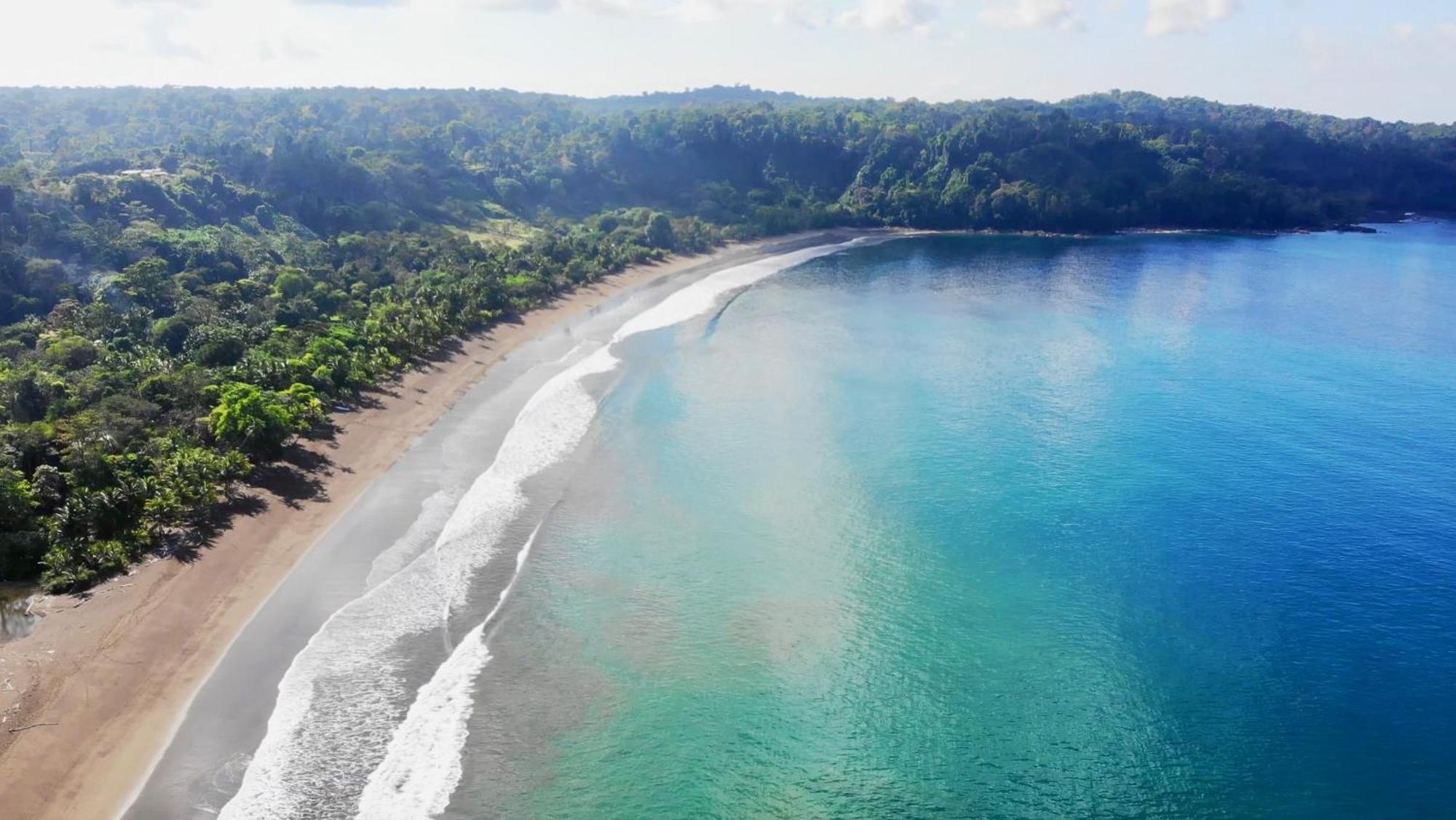 Ocean Forest Ecolodge San Pedrillo Luaran gambar