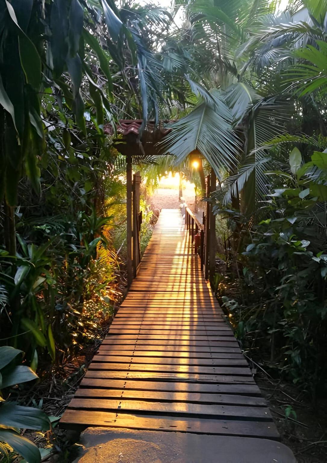 Ocean Forest Ecolodge San Pedrillo Luaran gambar
