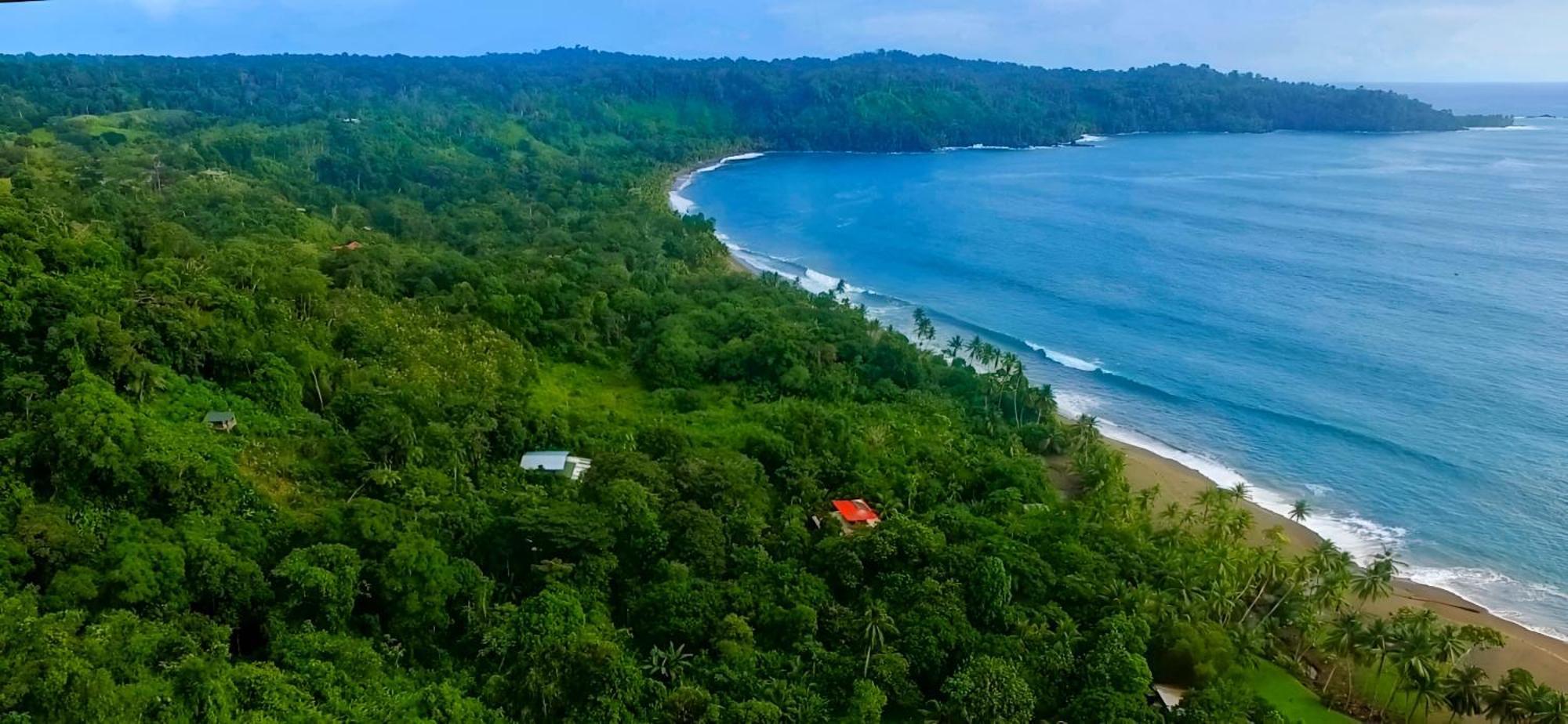 Ocean Forest Ecolodge San Pedrillo Luaran gambar
