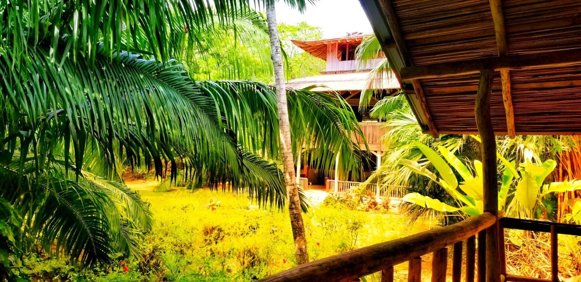 Ocean Forest Ecolodge San Pedrillo Luaran gambar