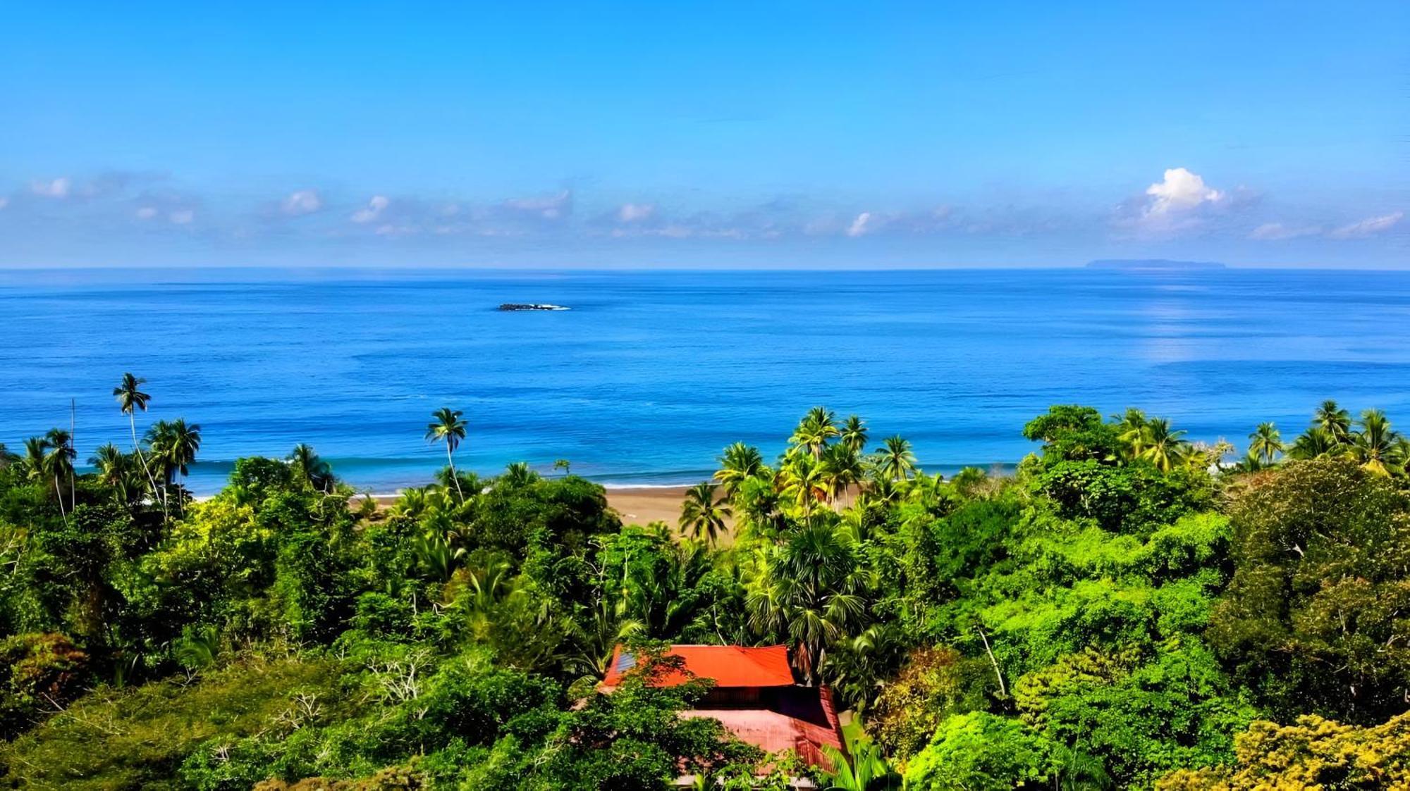 Ocean Forest Ecolodge San Pedrillo Luaran gambar