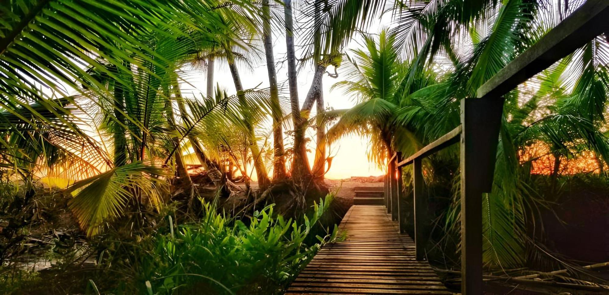 Ocean Forest Ecolodge San Pedrillo Luaran gambar