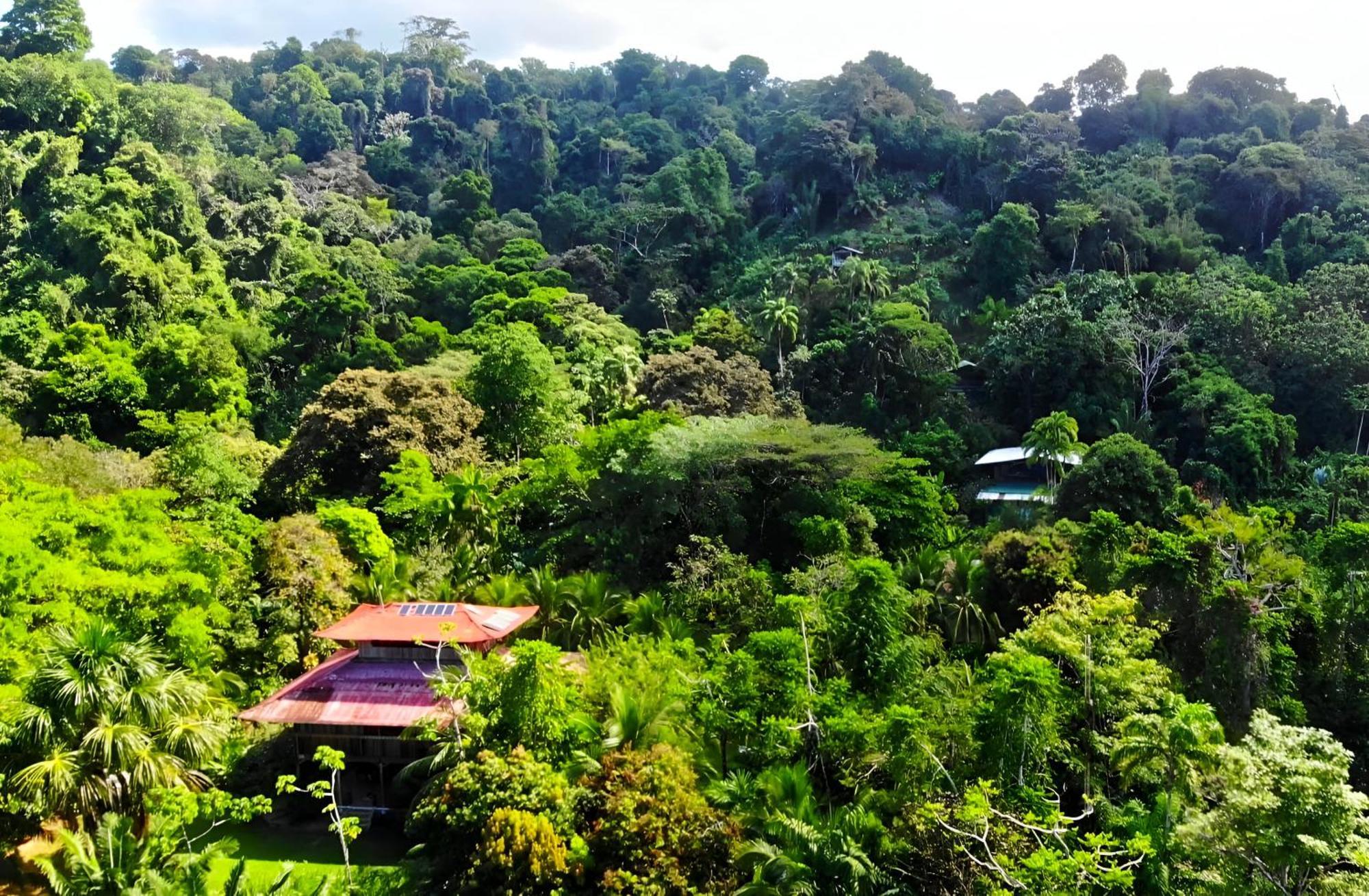 Ocean Forest Ecolodge San Pedrillo Luaran gambar